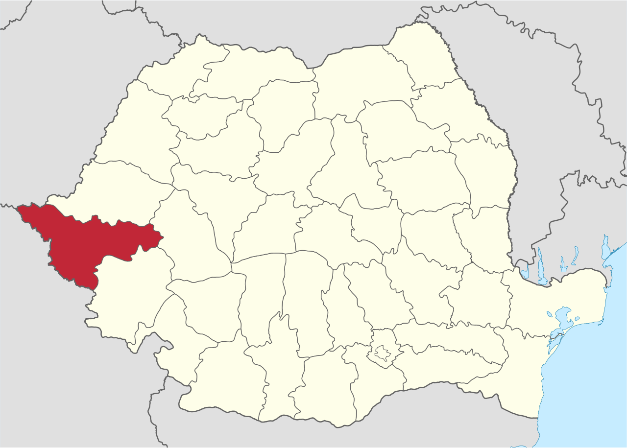 1280px-Timis_in_Romania.svg.png