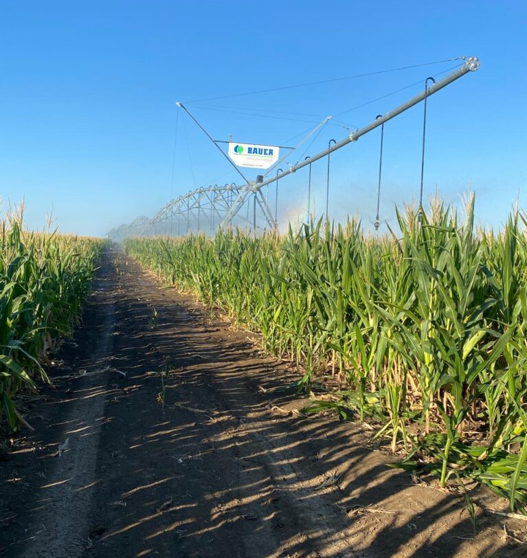 Irrigation
