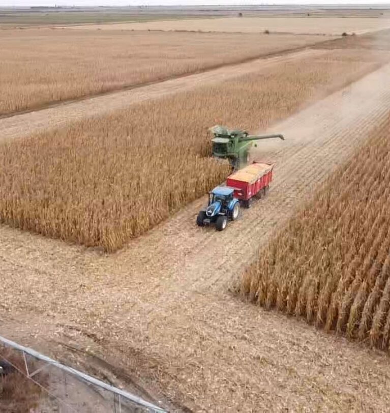 Farming
